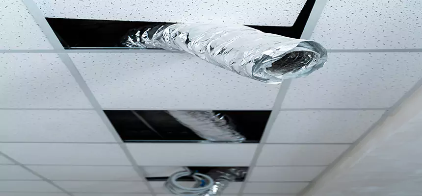 Our Air Duct Pet Hair Removal Services in Universal City, TX