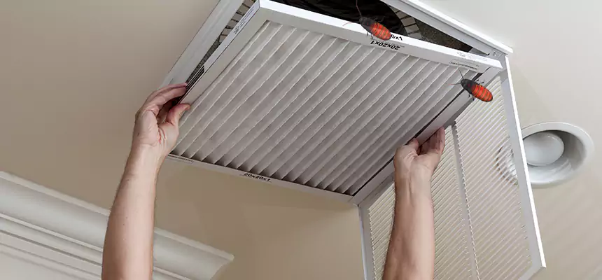 Our Insect Removal from Air Ducts Services in Universal City, TX