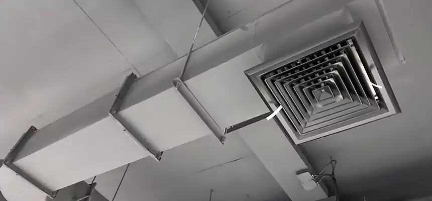 Our Pest Removal From Ducts Services in Universal City, TX