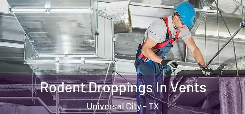 Rodent Droppings In Vents Universal City - TX
