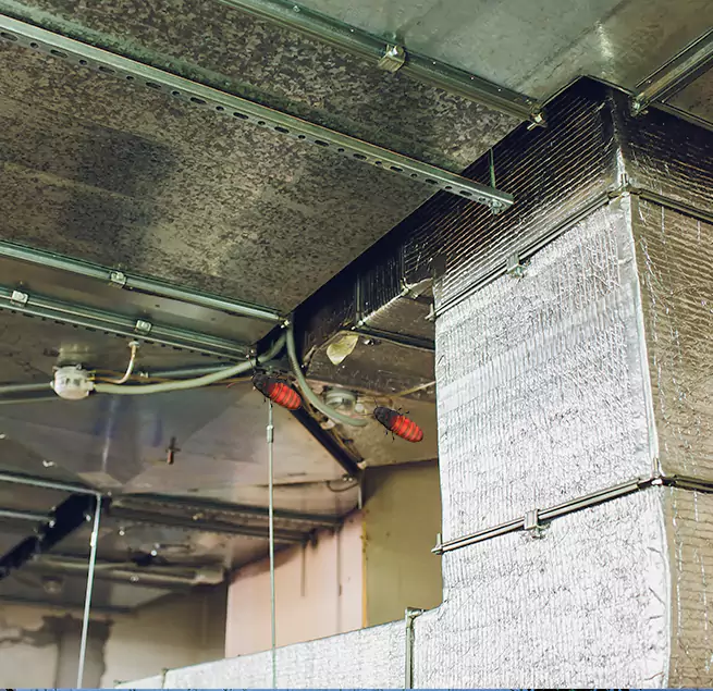 Why Homeowners & Businesses Trust Us in Universal City, TX?