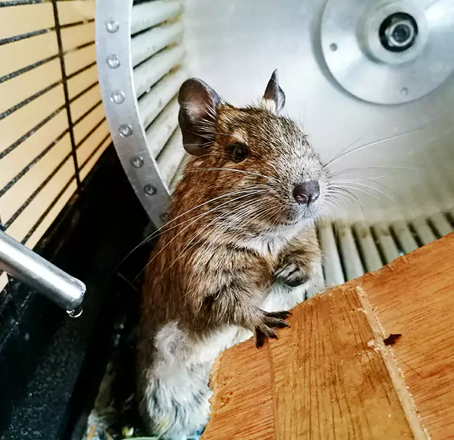 Why Homeowners & Businesses Trust Us Universal City, TX