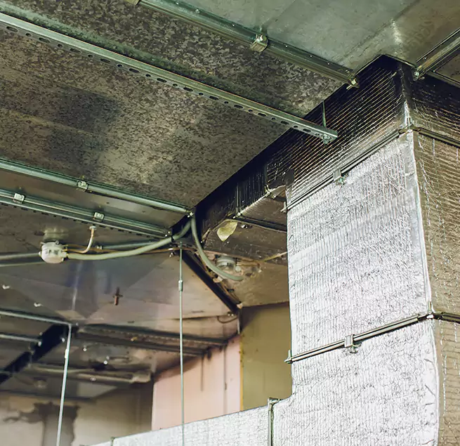 Why Homeowners & Businesses Trust Us in Universal City, TX?